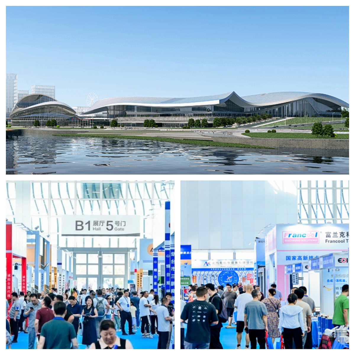 LIONSE participă la Expoziția Yantai 2026